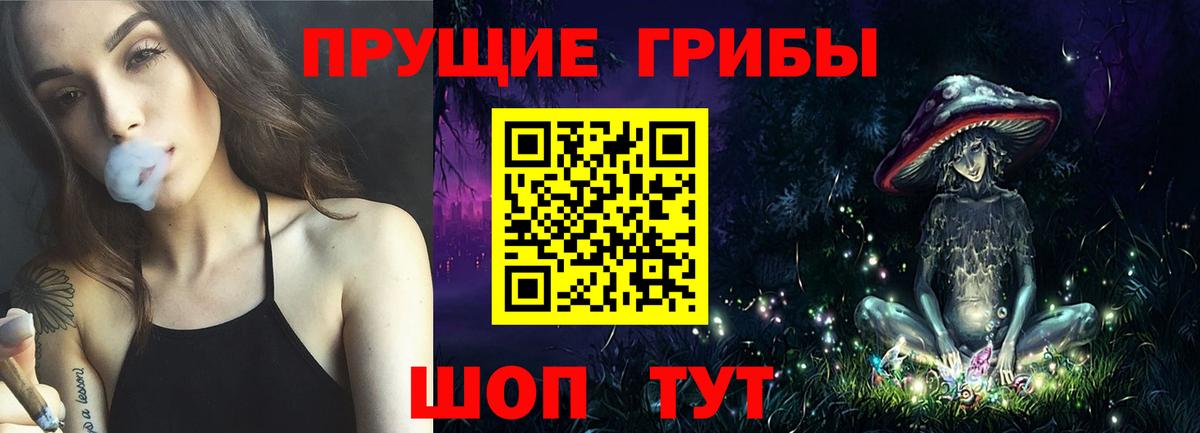 Галлюциногенные грибы прущие грибы  Вход с VPN  Тайшет 