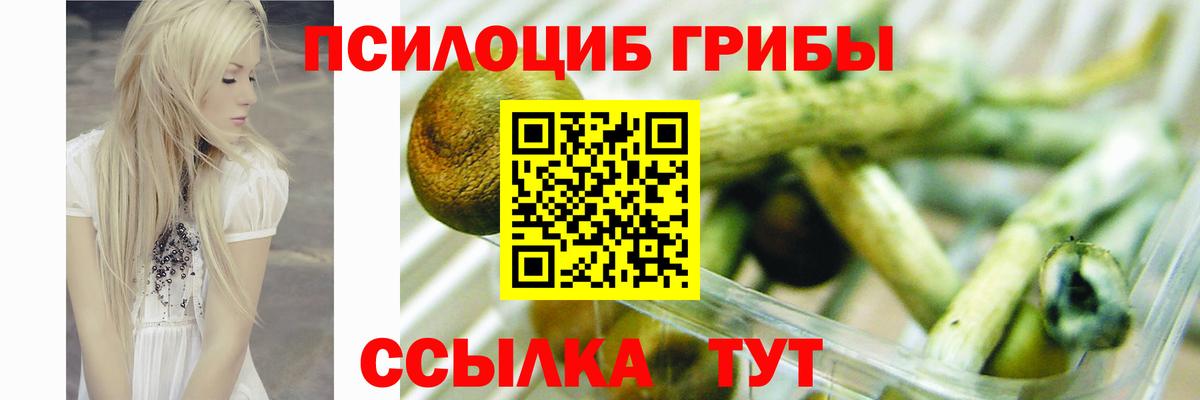 Псилоцибиновые грибы мухоморы Тайшет